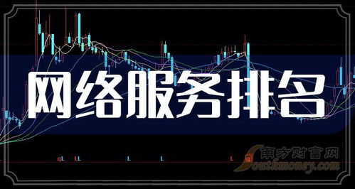 2023年第三季度網(wǎng)絡(luò)服務(wù)概念股毛利潤(rùn)前十排名解析